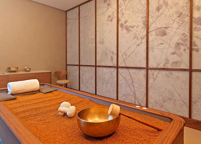 Zem Wellness Clinic - 5 Stars Grand Luxury Ξενοδοχείο 5*